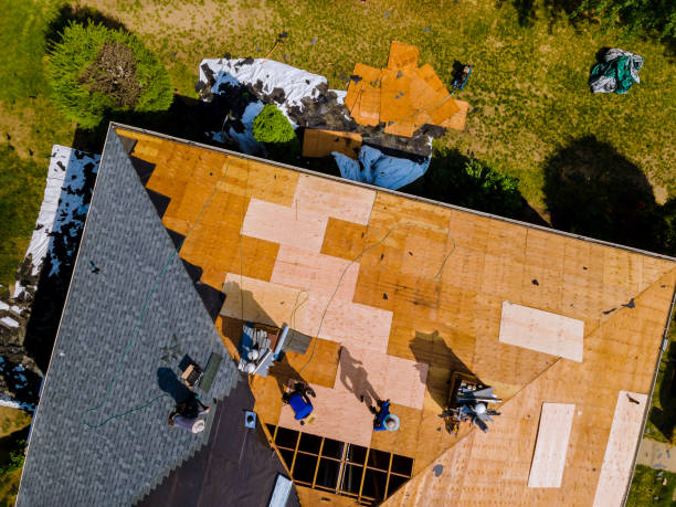 Roof Gutter Cleaning in Memphis, TN